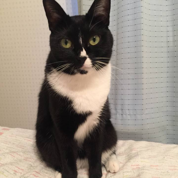 F59664e2 04bc 477d 8b41 933399d3b2c1