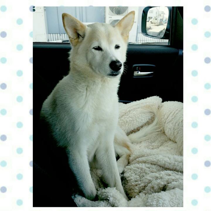 F596c2c9 b92c 4846 aff3 9bfa2105c27a