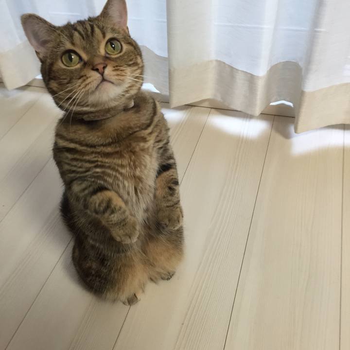 F596d6e4 857e 452e 8264 34745250885b