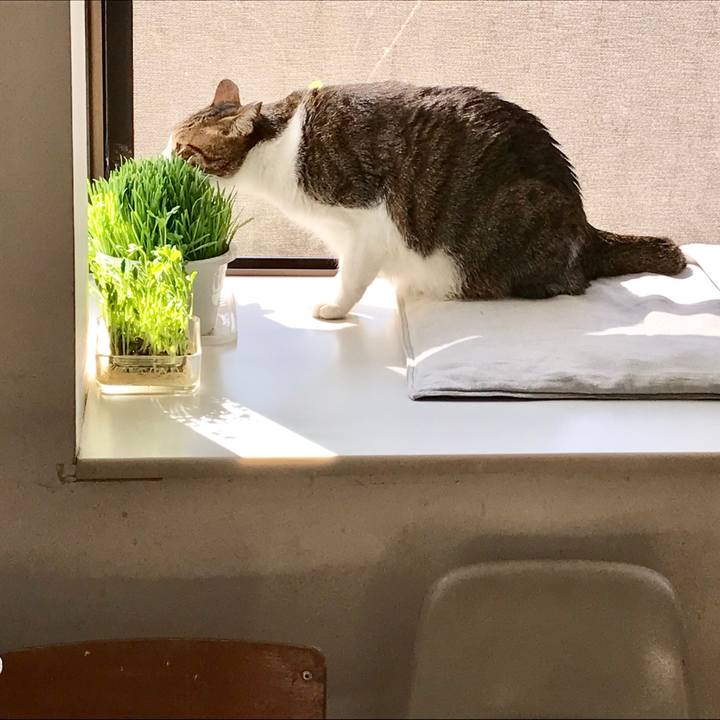 F5982c20 5d43 42d3 93fa 2e247cbf74b1