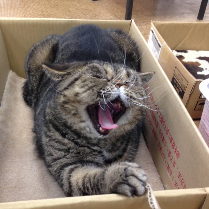 F5982de0 7380 4218 982f 67245f156b5b