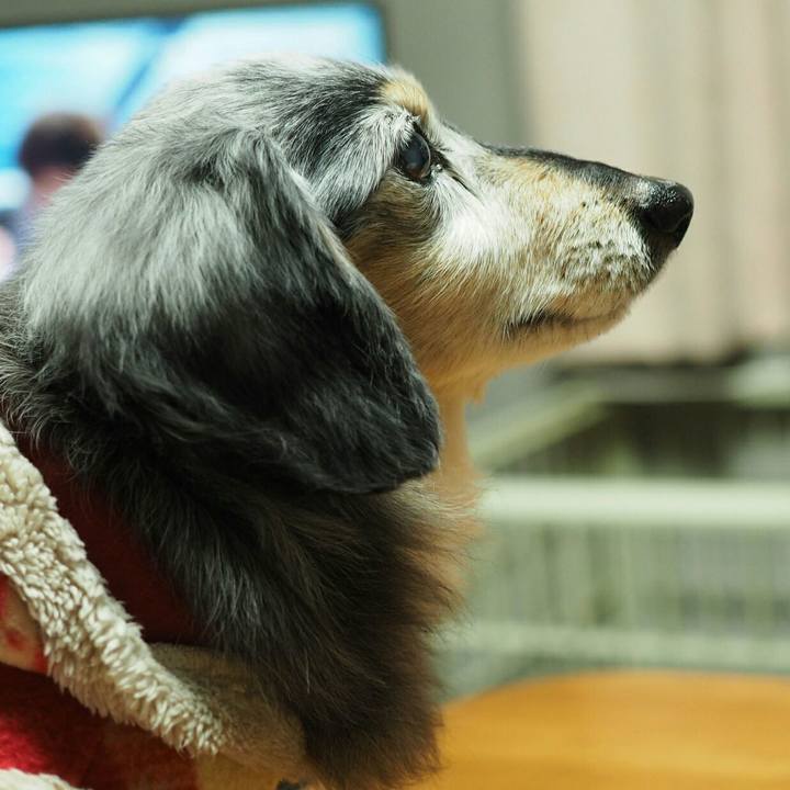 F5985f8c 39cc 4052 9472 6993ae37b07b