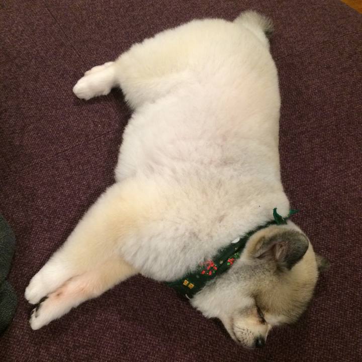 F599a7bd 7657 4b61 8684 1fe1bfcaf14e