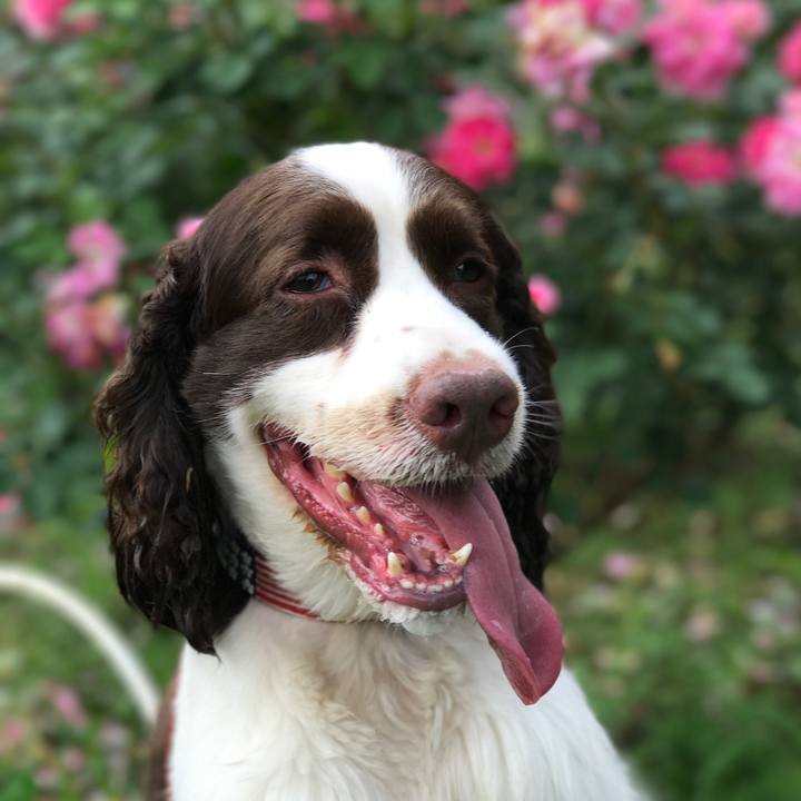 F599c272 9d82 44a2 a613 af9bbc7b011e