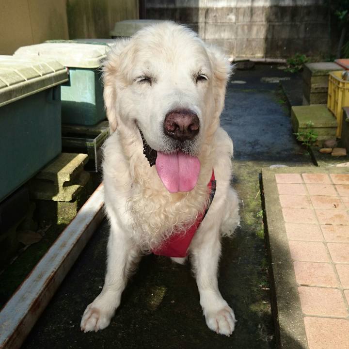 F599dbaa d29d 48b0 ae21 c24537d51054