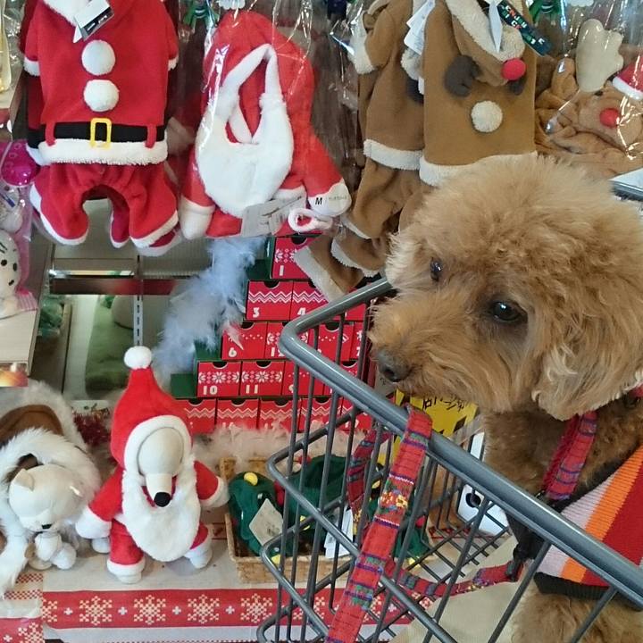 F599eb1b ca86 4ec7 b72e 0e0f6fe2b423