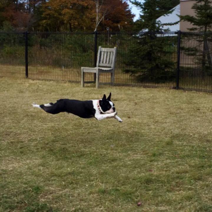 F59a346f 72de 4831 9f42 a33d51a659d6