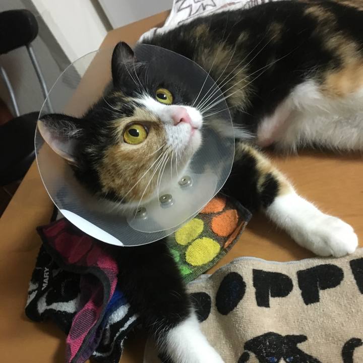 F59aff75 2e8b 4bba 866d b48912ca995d