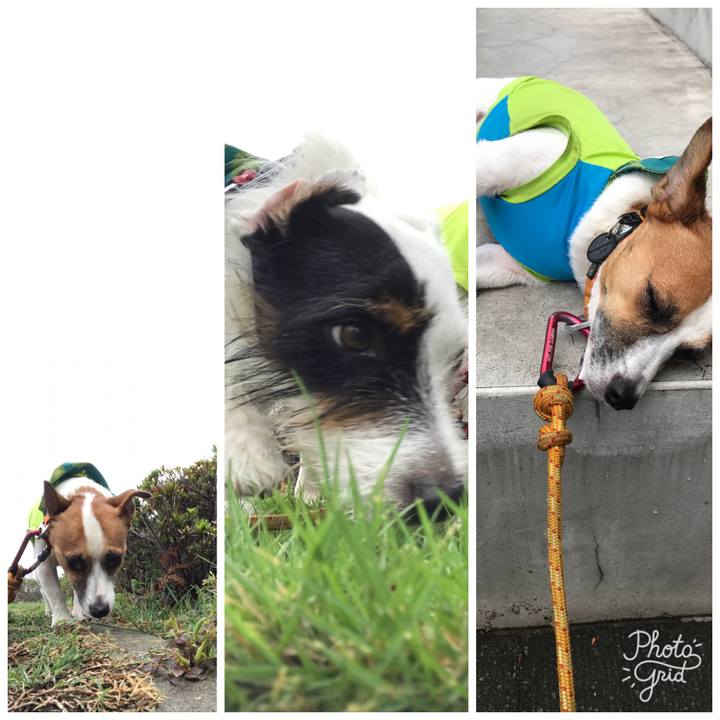 F59b4ddd e36c 4bec afe1 9767dda50897