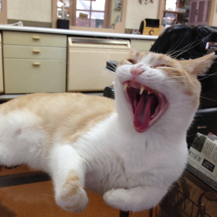 F59ba17e f6c6 4629 830a 21840195e00a