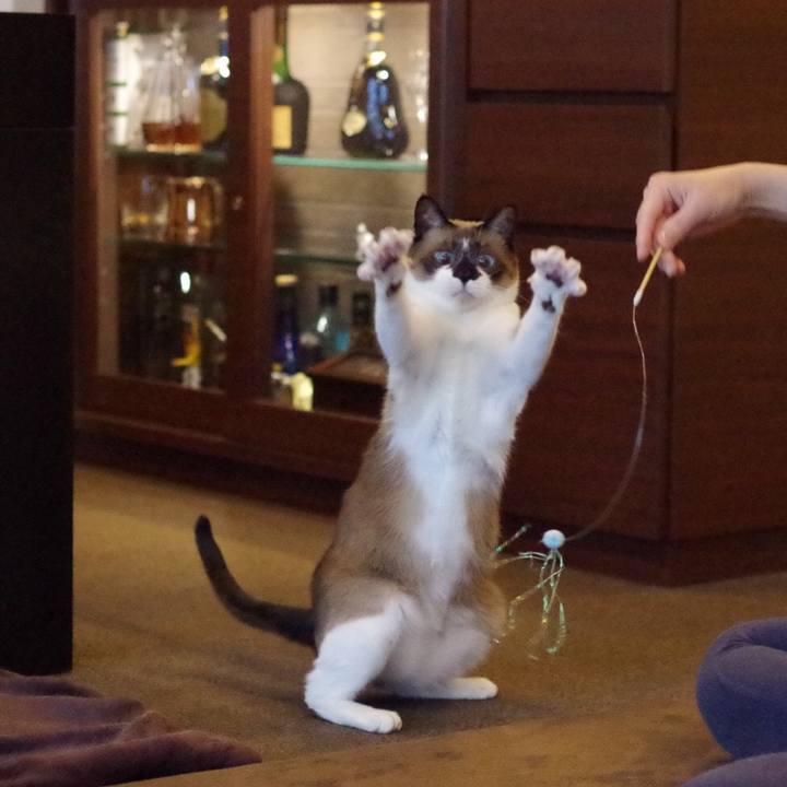 F59bf48d 4bdd 48dc 9e6a 141a3d253093