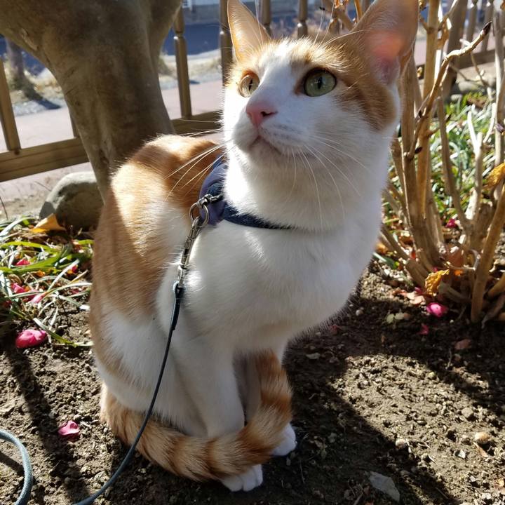 F59c597a 922d 4719 9503 58a248f7a576