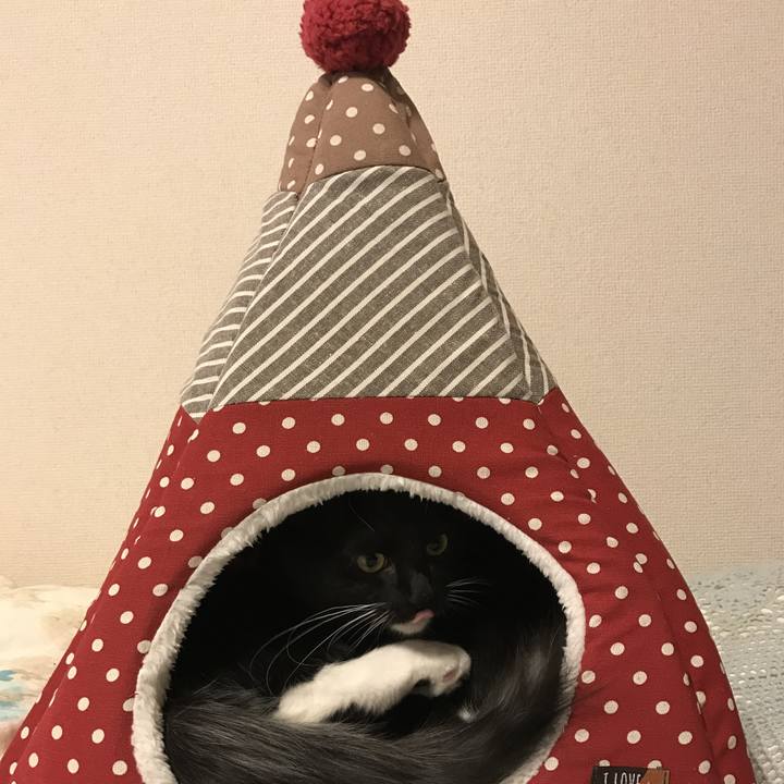 F59cc200 4202 47c3 a777 0d6f6190d3e4