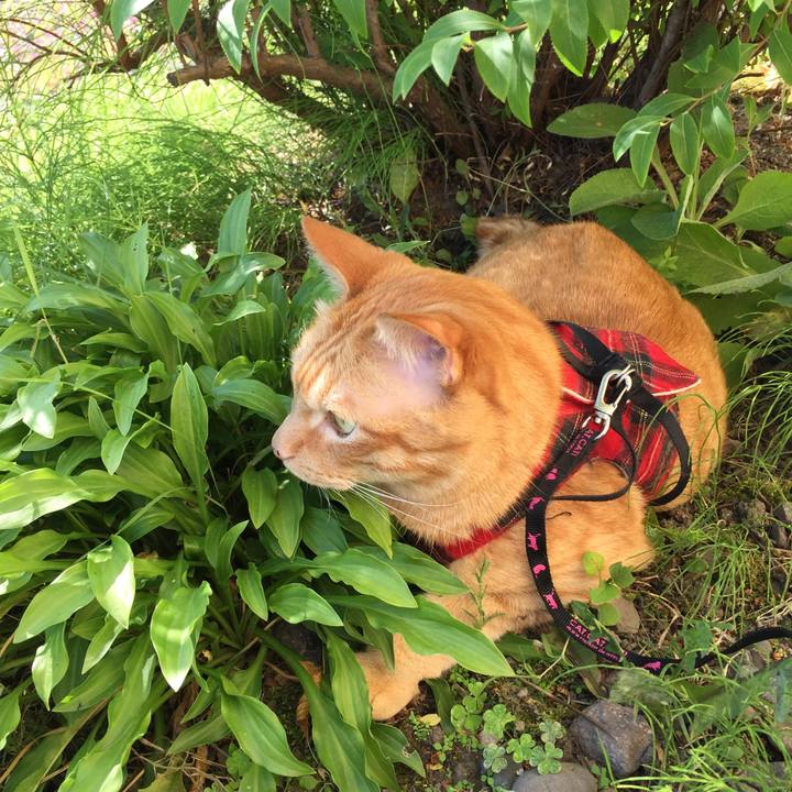 F59d35ce be27 4637 a6f3 9a45f1f8b3fe