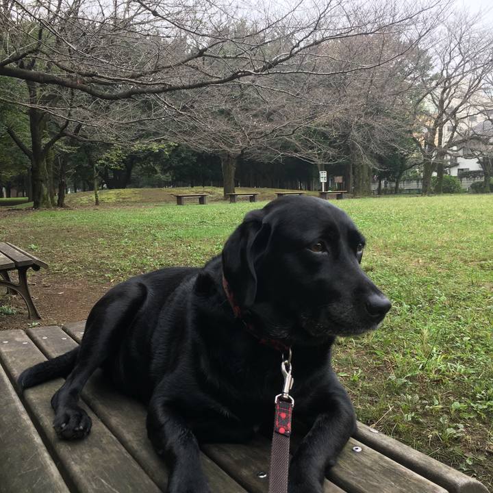 F59d53e7 dd2f 47a8 b6eb 8384c7cf46c9