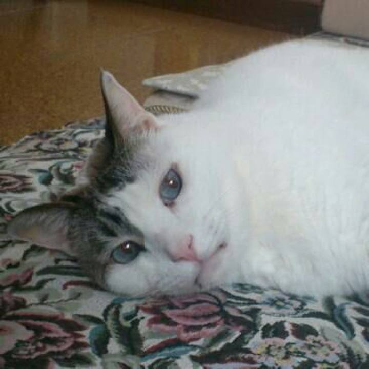 F59d7d1c 7e3f 4470 af08 0c35a61c21d6