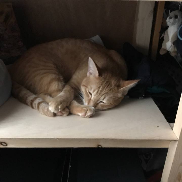 F59e53d9 af09 4195 b63e d0941db61eb3