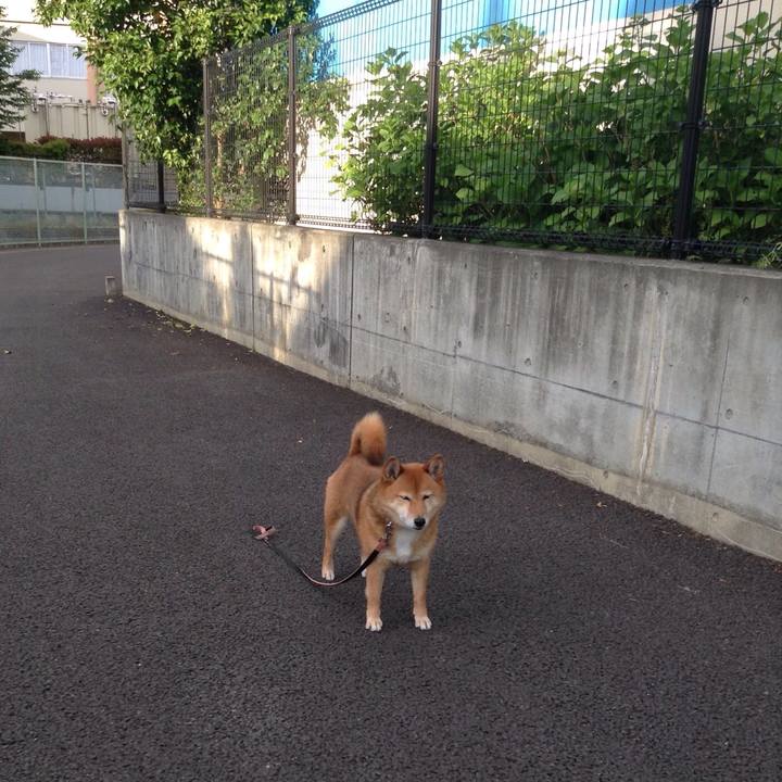 F59ef542 740b 4ce5 b9c4 cc7d0b0b0425