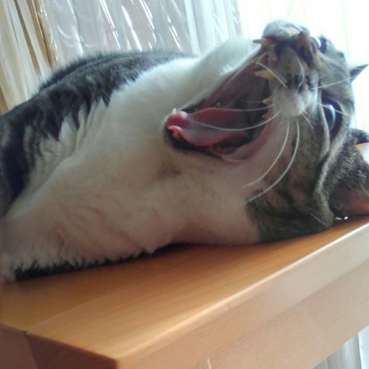 F59f929d 38d6 4327 aa8e 8c00702f1107