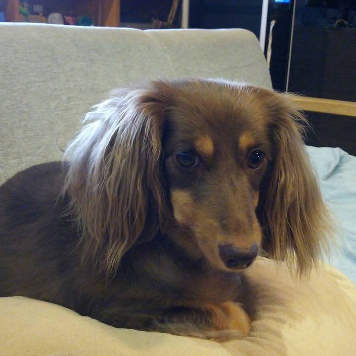 F59ffff8 49c3 425f a23d c59f42f1f509