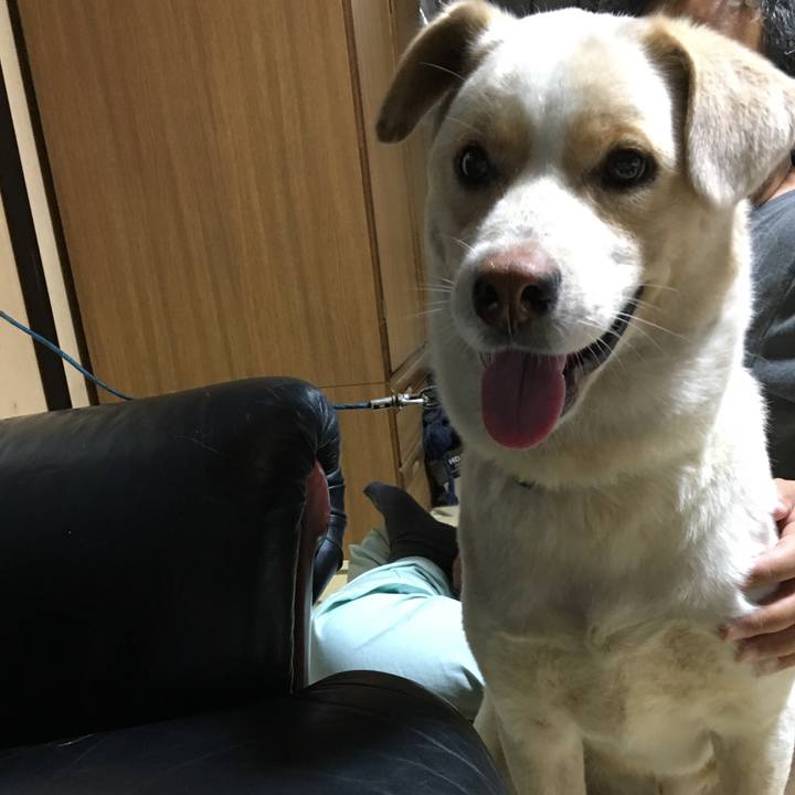 F5a042f6 9263 4741 817e 28fa835ae920