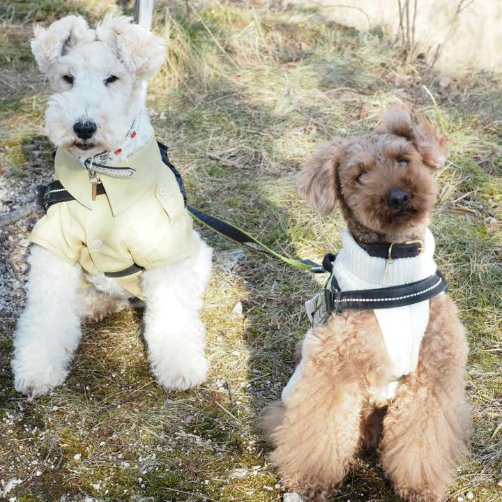 F5a0c353 c51a 4e43 978d d98bd140a8ea