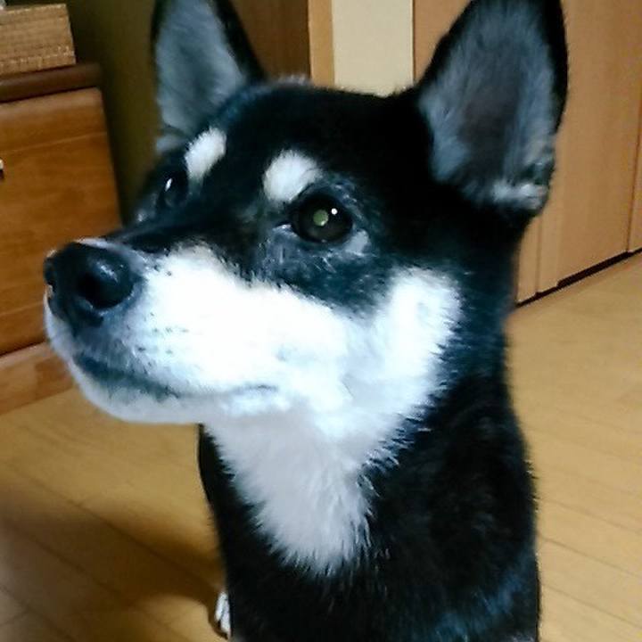 F5a1a538 2843 448b b5ac 9b202683c7b0