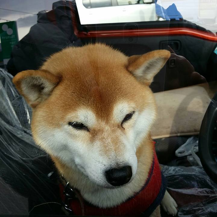 F5a2a534 728b 4d7c b067 a4b8daf3e26a