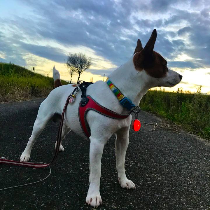 F5a2bcdb e12f 47d2 b8c5 cbabaf4bc58e