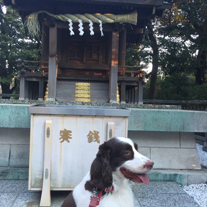 F5a380a1 5546 438a a0eb d50f30d77b01