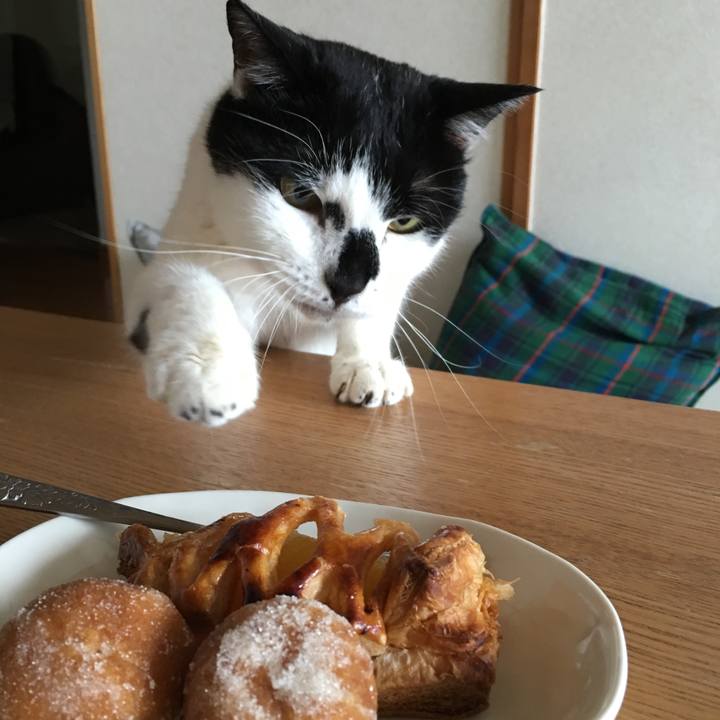 F5a385ed e471 4df9 a49f 1d45ea6bf7da