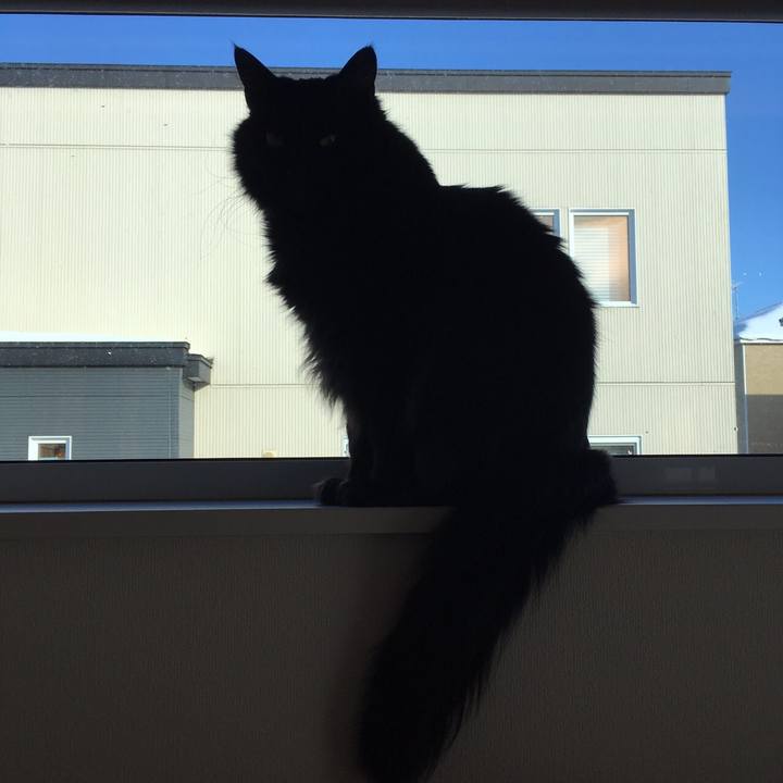 F5a3b324 47b9 44b5 bf80 7c2f5de57b5d