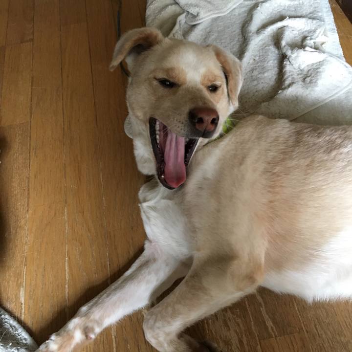 F5a457ed 785d 498c be42 65fefe8e0a67