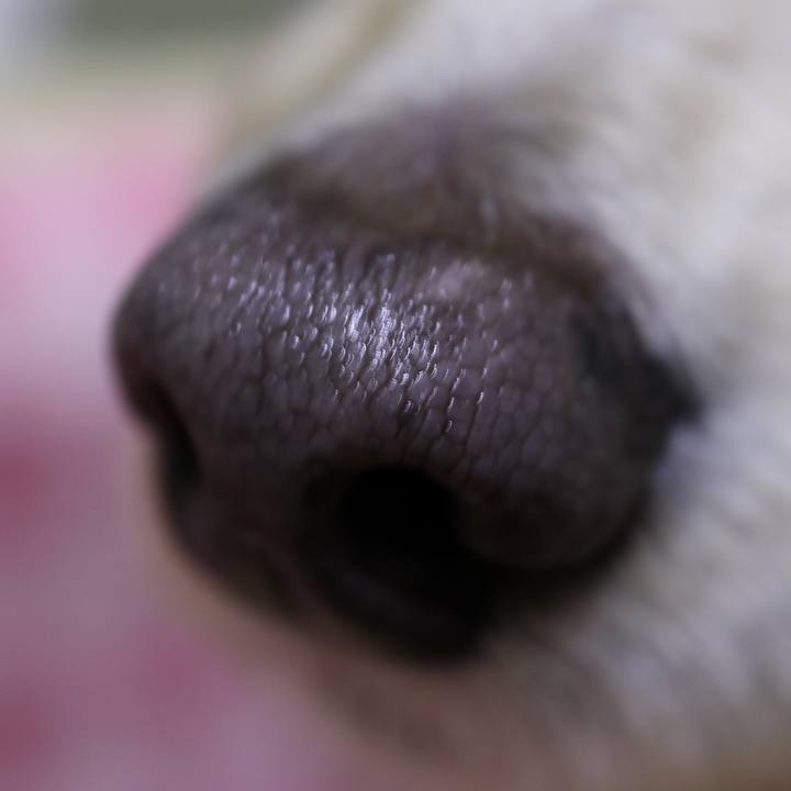 F5a4d856 86e8 44a9 8629 4051f448b8d8