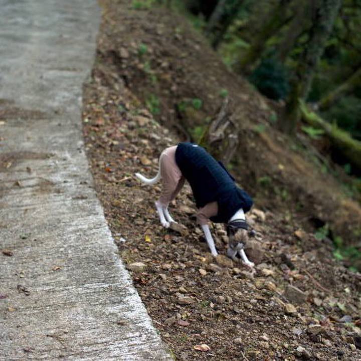 F5a69504 fb12 4e57 97ae 85e38e1996ab