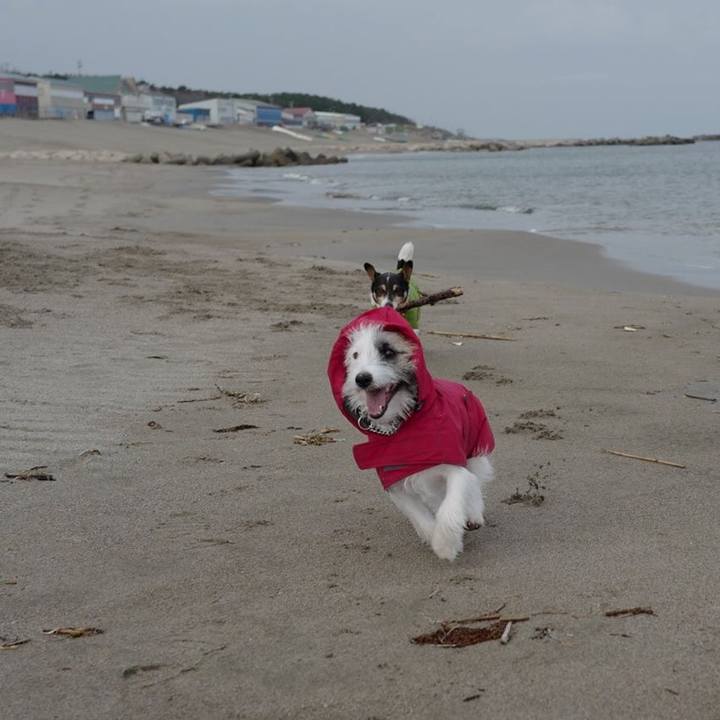 F5a6b50e 3e1a 4c26 a930 ddbe23fb5cf0