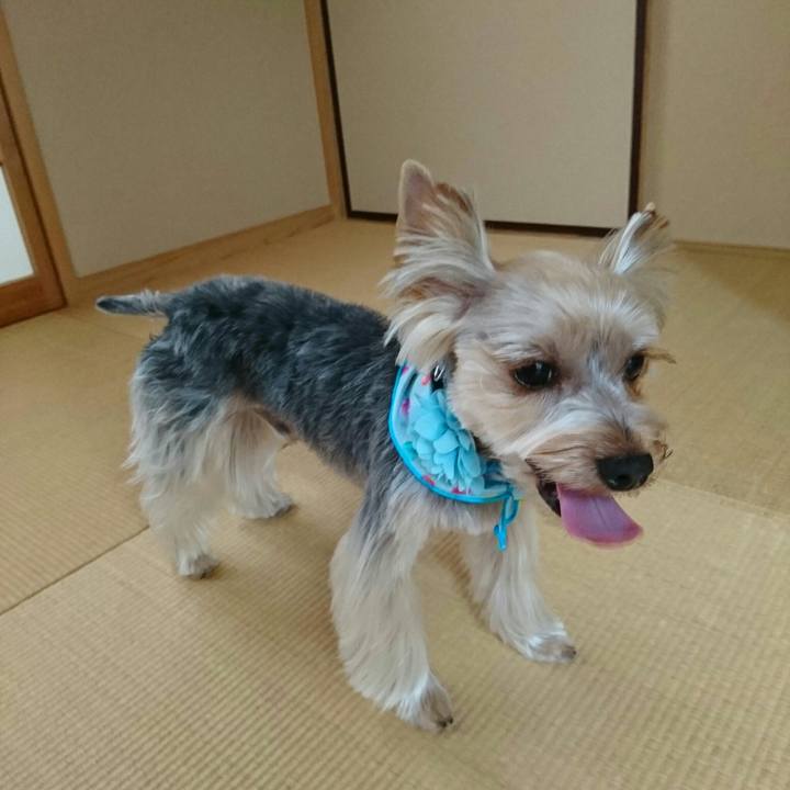 F5a6c25c eca4 44aa b408 b60352ba9e6d