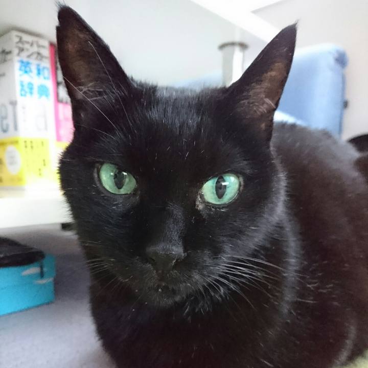 F5a6d0a6 4b4f 414d b663 584ab6a1c272