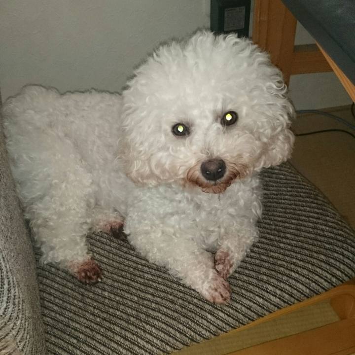 F5a6e78a c9bd 468b 897b 584dc548be00