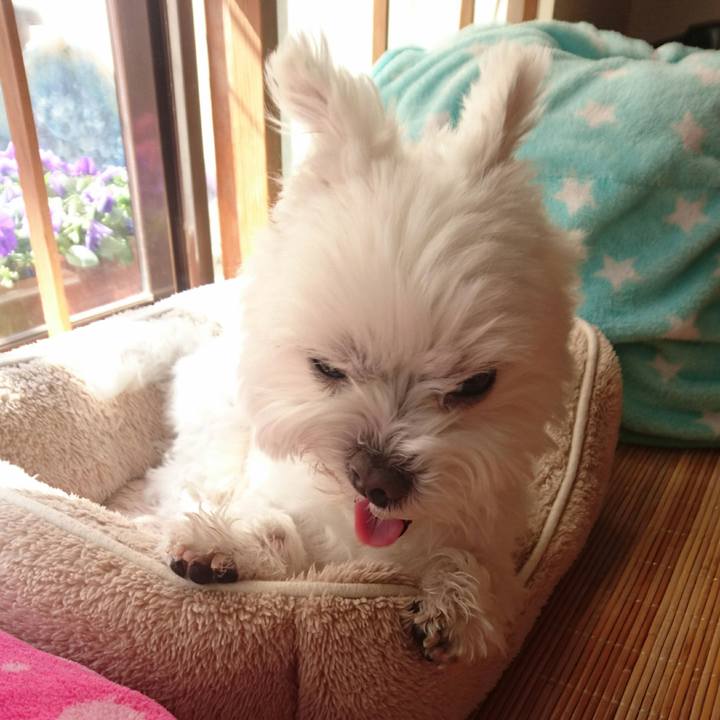 F5a7be72 d452 48e7 b2f6 f5f7732f073b