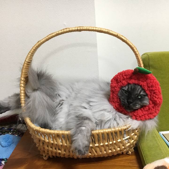 F5a8289a f545 40f7 8e48 5d9847631cff