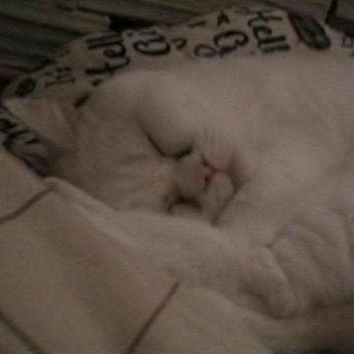 F5a9091b cff1 4bfa ae26 215e07a38322