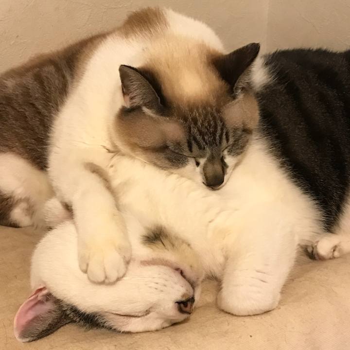 F5a934e1 e6c5 43f0 8f44 0e52d8864a82