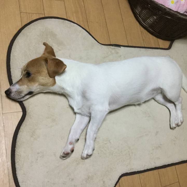 F5a9564a 30bb 4e47 bfcf b8952b59c89c