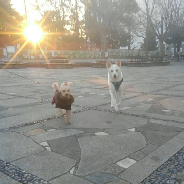 F5aaae88 8d31 466c b8ed b1c26f23bb55