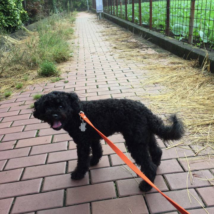 F5ab9a3c a820 425e bc16 e70d849c6e4c