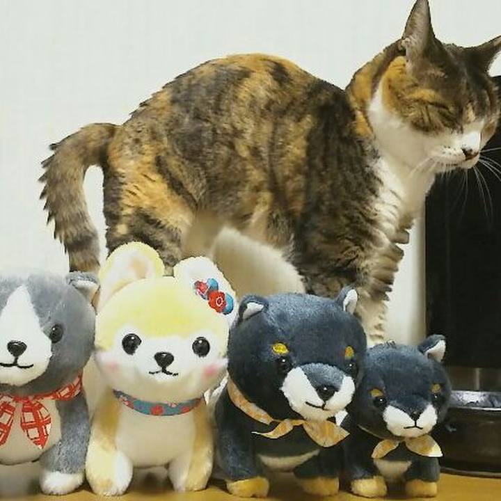 F5ac4fa8 7a0f 406b b934 1f9752c5934f