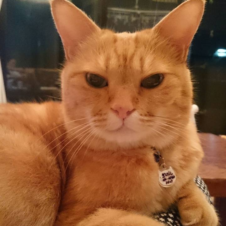 F5aca4eb daba 431a aa6f 44728de32fad