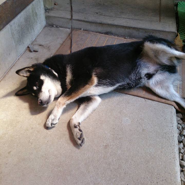 F5ad5fdf a215 40c3 9aca 0f3d2df2b343