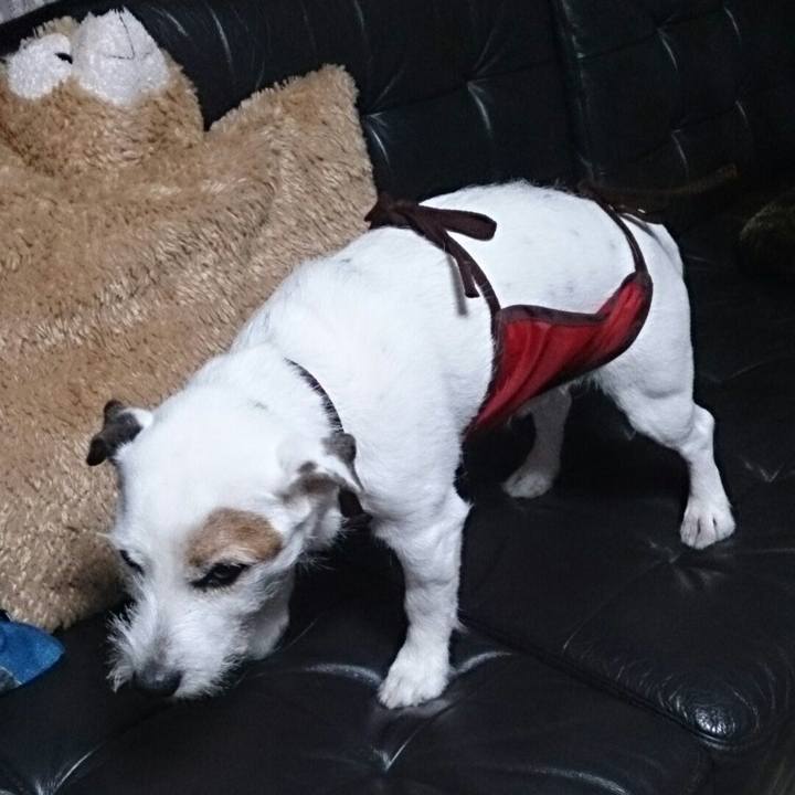 F5ad7a68 a152 4234 bb22 7f1764b112c9